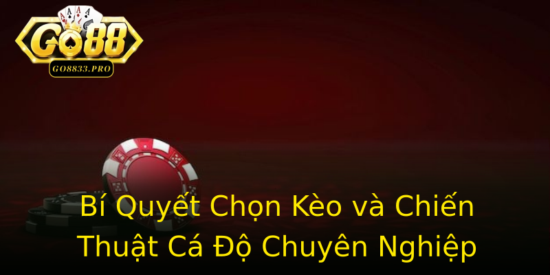 Bí Quyết Chọn Kèo và Chiến Thuật Cá Độ Chuyên Nghiệp Bí Quyết Chọn Kèo và Chiến Thuật Cá Độ Chuyên Nghiệp